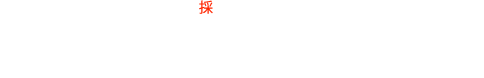 新卒採用